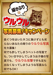 naganeko_ec